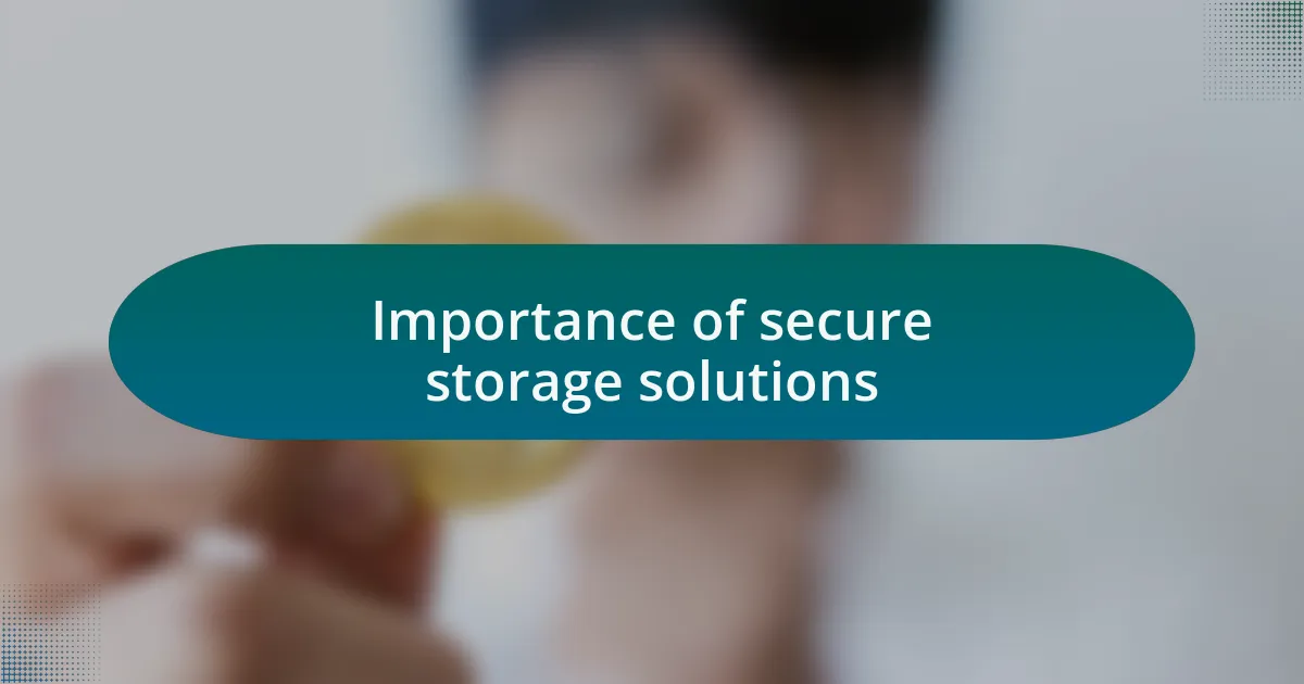 Importance of secure storage solutions